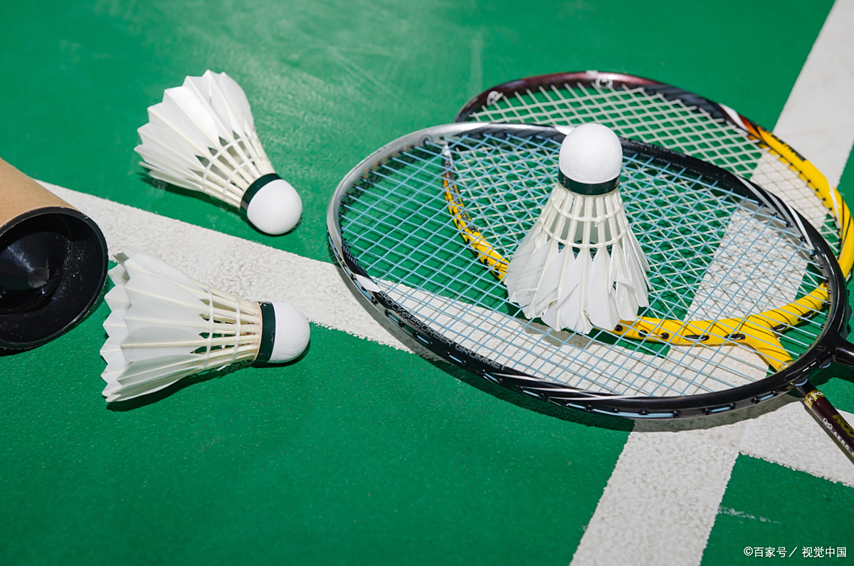 看到老鹰在 看到老鹰在