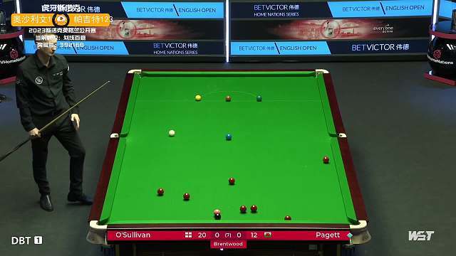 整个赛季 整个赛季