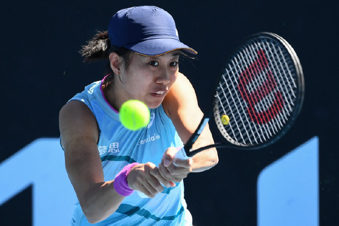 同样王者风 同样王者风