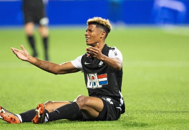 增添了亮点 增添了亮点